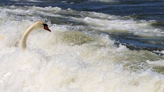 8: IMG_2527_ed_ct2_16-9