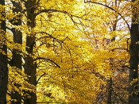 Lennartsnäs allé 1