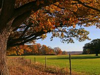 Lennartsnäs åkrar 2