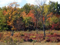 Djupvik  Djupvik, Öland