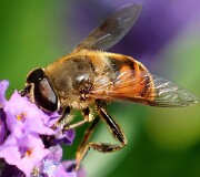 8: AY2A1844_ed_ctweb2_aish