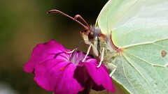 11: IMG_4383_1_filtered_ctw_aish-gp