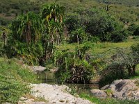 Vattenhål  Masai Mara National Reserve, Kenya, 2023.