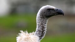 14: IMG_0008_edit_16-9