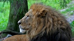 3: IMG_0168_edit_16-9