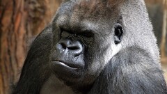 15: IMG_9660_ed_16-9_flt2