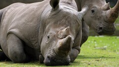 10: IMG_9814_ed_16-9