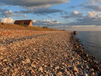Kusten vid Knisa mosse  Öland