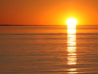 Intensiv solnedgång  Öland