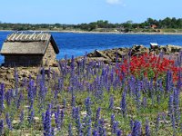 Djupvik  Djupvik, Öland