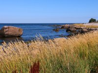 Kustlinje  Öland