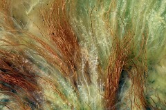 7: IMG_4814_fx_ed2_aish