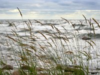 Strandkanten  Öland