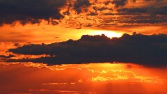 10: IMG_9680_ed_ctw_aish