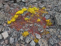 9: PXL_20240602_090636936_ed_aish