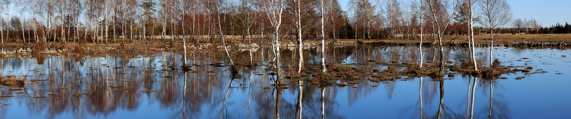 Klicka för att visa eller dölja knapparna