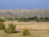 Öster om Jordhamn  Öland