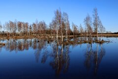 28: IMG_2199_clon_ed