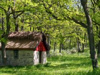 Södra Greda lövängar  Öland