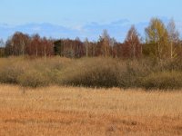 Djurstad träsk  Öland