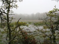 Kärret, Djupvik  Öland