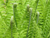 2: P1011650_ed_aish_ctw