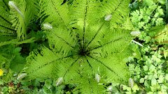 29: P1011654_ed_aish_ctw