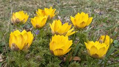 30: PXL 2021-04-25 15.23.23_ed_ctw_aidn