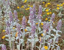 32: PXL_20240620_124011621.MP_ed_aish_ct