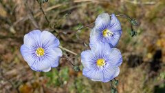 33: PXL_20250529_122617769.MP_ed_aish