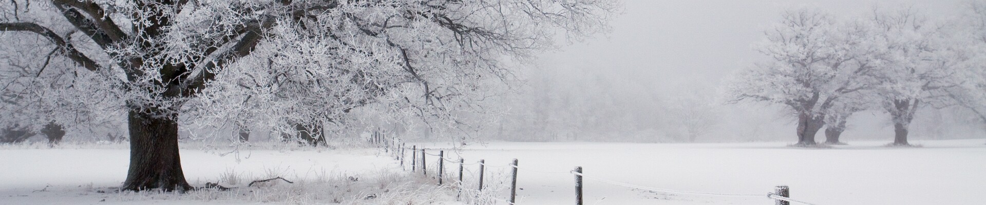 Klicka för att visa eller dölja knapparna