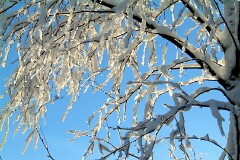 6: 2003_1230_132628AA_edited_ct