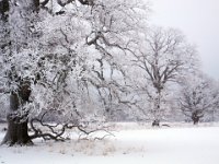 Lennartsnäs, Upplands-Bro