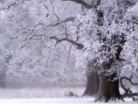 Lennartsnäs, Upplands-Bro