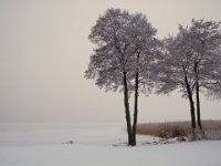 Strandvägen, Kungsängen
