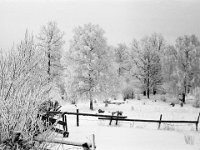 Utanför Nyköping  Fotograferad med Zenit 3M (Rysk systemkamera) med 58 mm optik vintern 1968.