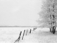 Utanför Nyköping  Fotograferad med Zenit 3M (Rysk systemkamera) med 58 mm optik vintern 1968.